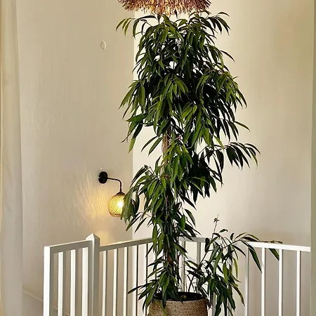 Korifi By Halu!, Villa With Sea View Skiathos Chora Extérieur photo