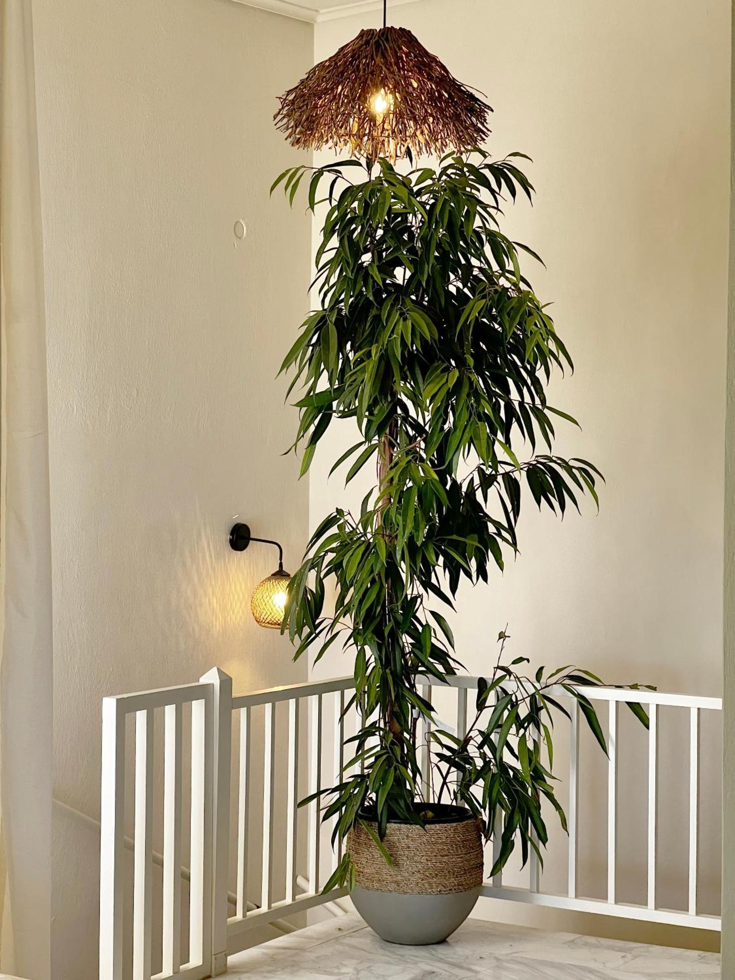Villa Korifi By Halu!, With Sea View Skiathos Chora